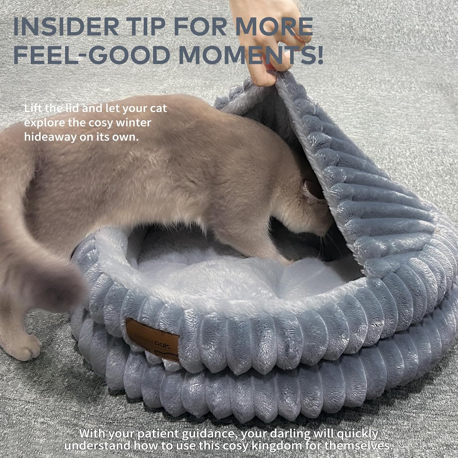 Thumbnail 3 de CheerPals Cat Bed with Cover 50 cm – Washable Cozy Cave with Elastic Sleeping Pillow