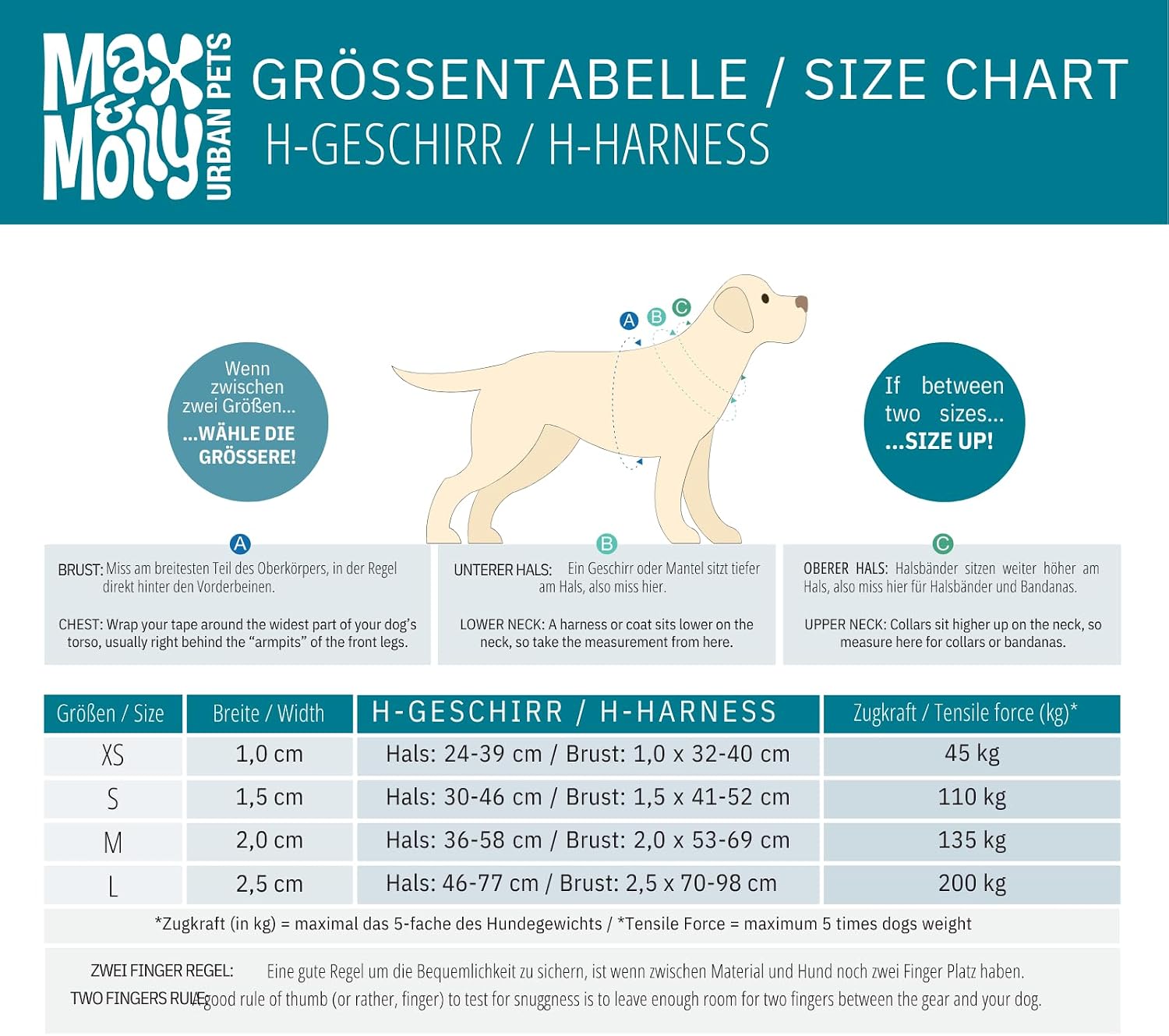 Thumbnail 6 de Max & Molly H-Geschirr - Retro Blue, XS