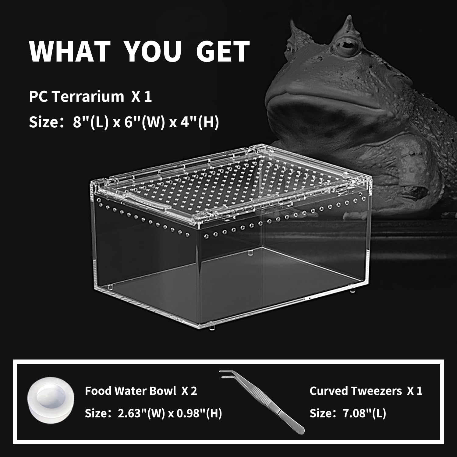 Thumbnail 1 de KAKOOTI Reptilien-PC-Terrarium 20 x 15 x 10 cm – Kleines Starter-Terrarium für Geckos, Spinnen und Co.