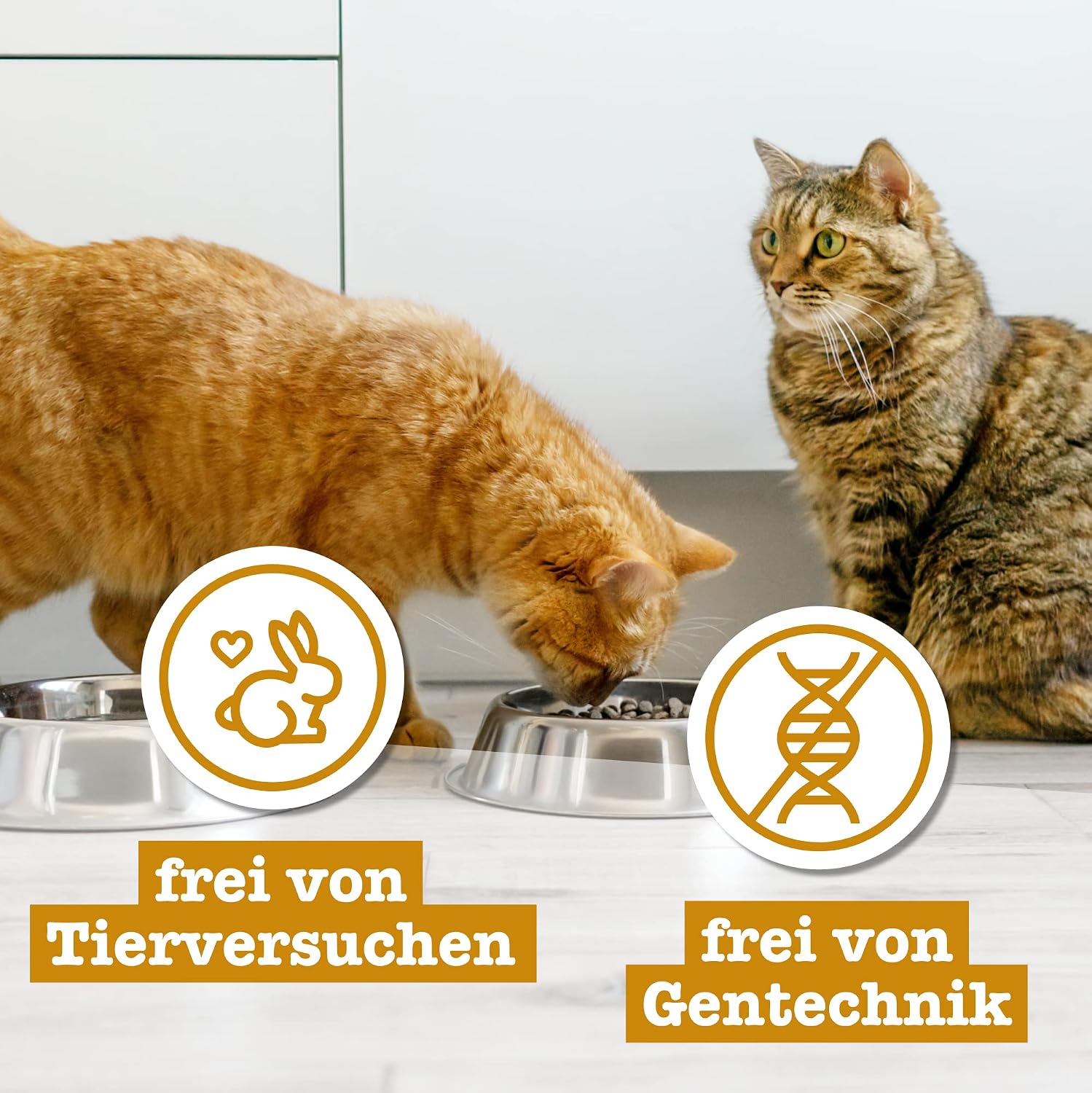 Thumbnail 5 de catz finefood Senior N°07 Rind & Kalb – Nassfutter für Senior-Katzen (16 x 85 g)