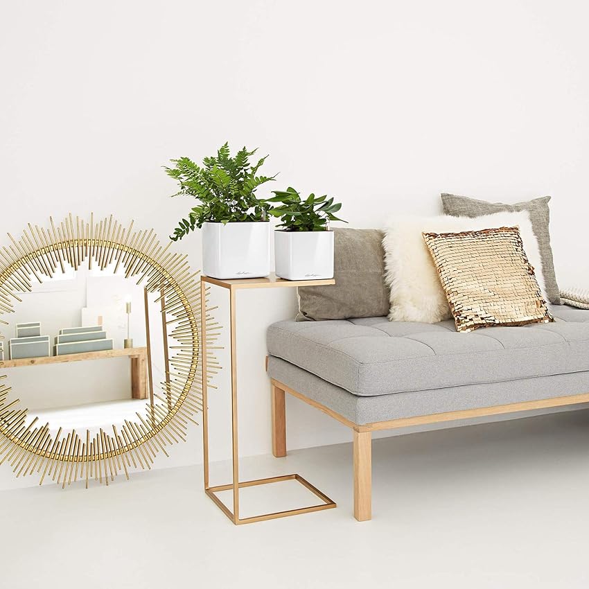 Thumbnail 1 de LECHUZA CUBE Glossy 14 cubo con riego