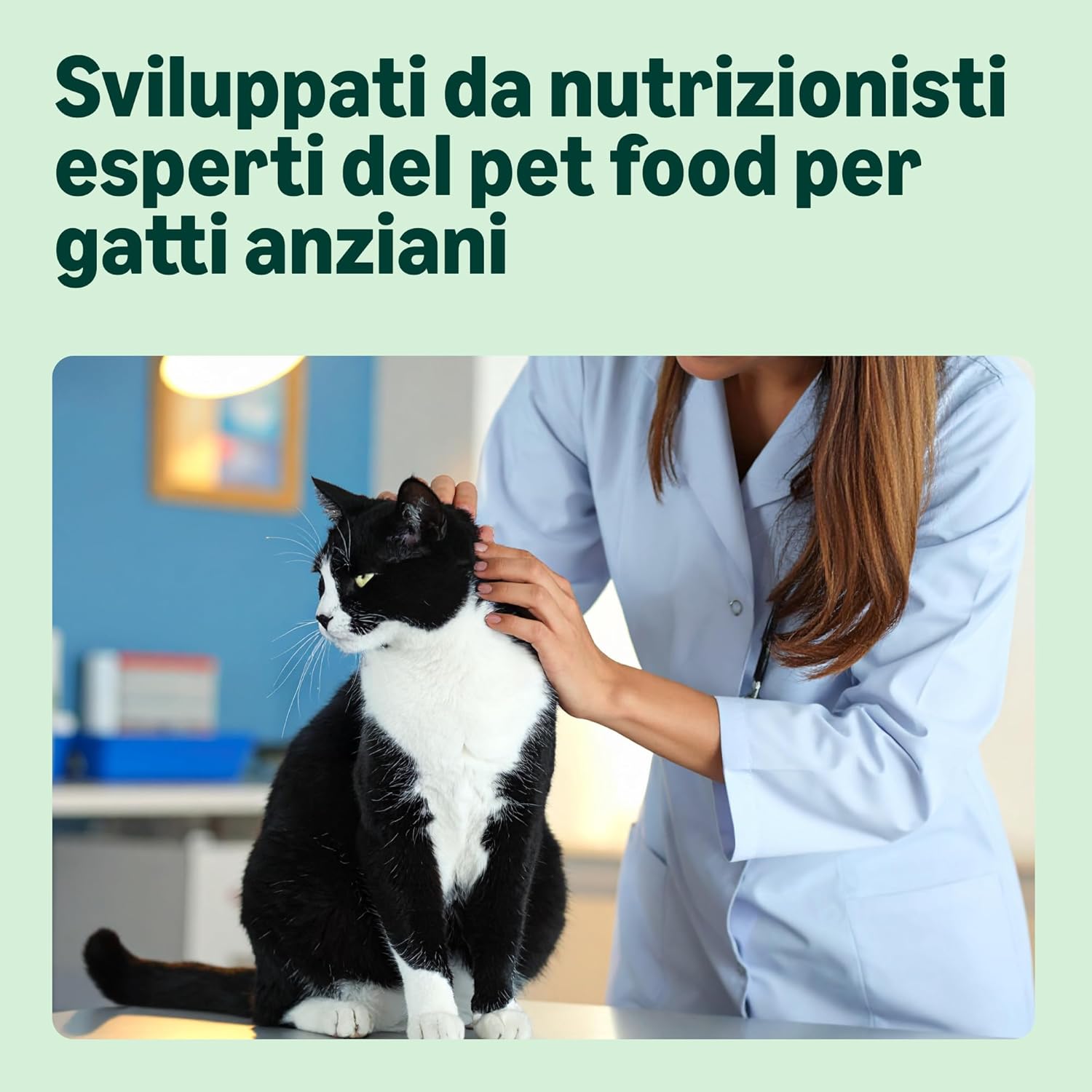 Thumbnail 2 de By Amazon Grainfree Recipe Dry Cat Food (Senior) with Fresh Chicken – 3 kg: recensione e guida all'acquisto