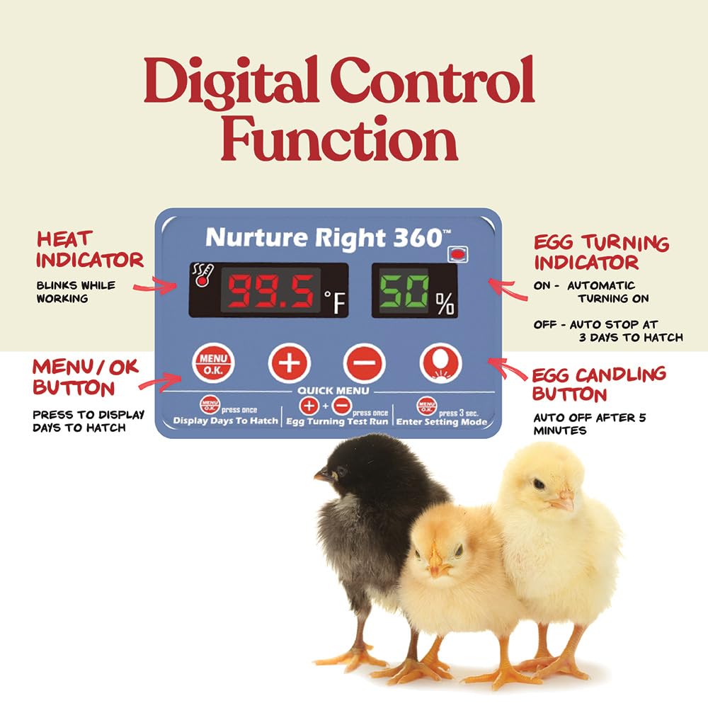 Detalle de Harris Farms Egg Incubator 22-Egg Capacity