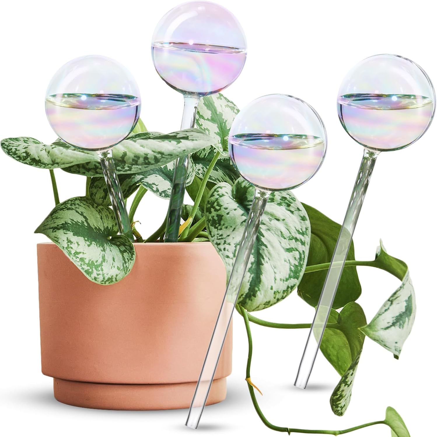 Thumbnail 6 de Selbstbewässernde Glühbirnen – automatische Pflanzenbewässerungskugeln aus Glas, 3er-Set