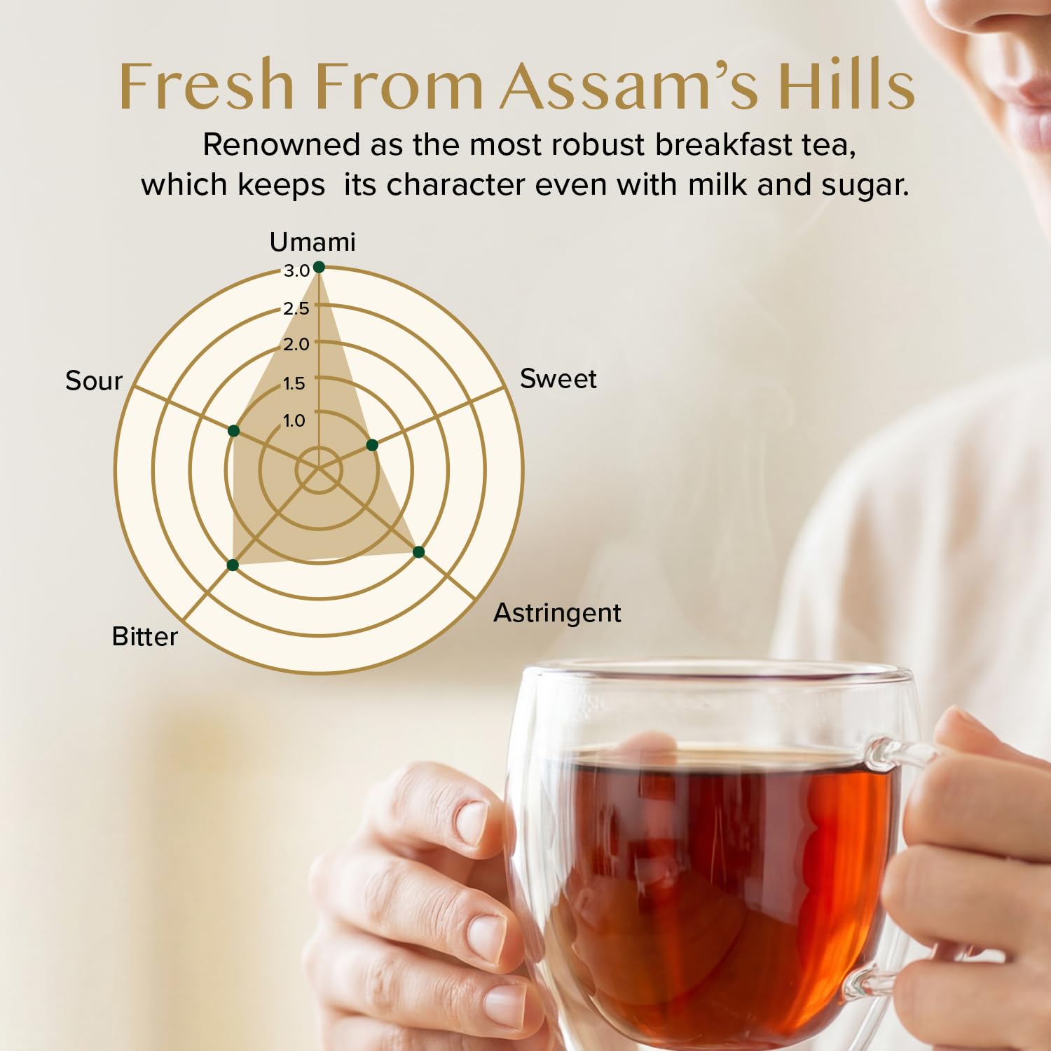Detalle de VAHDAM Assam Schwarztee – Stark, reichhaltig und direkt aus Indien (340 g, 170+ Tassen)