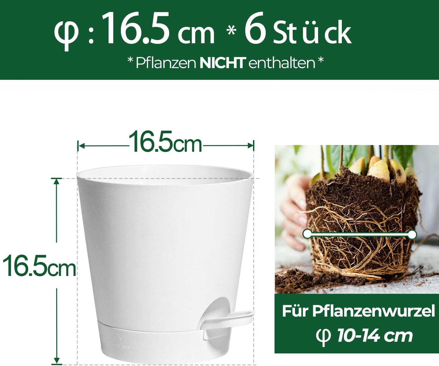 Thumbnail 1 de T4U Vasi per Piante Autoirriganti 16,5 cm – Set di 6 in Plastica Bianca (Esterno/Interno)