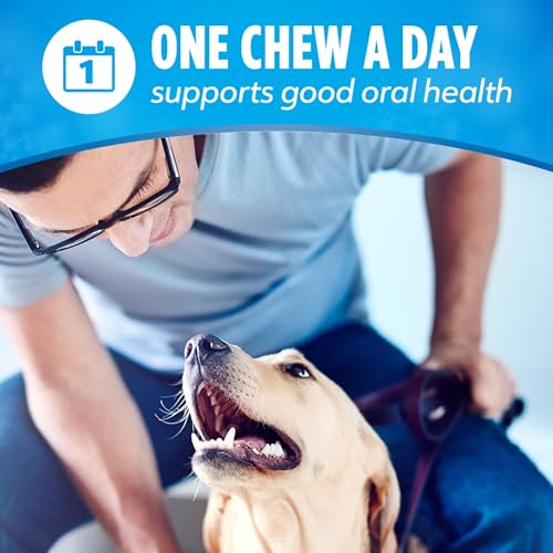 Thumbnail 7 de Dentalife Daily Dental Chews for Large Dogs, 18 ct Pouch (Purina Dentalife)