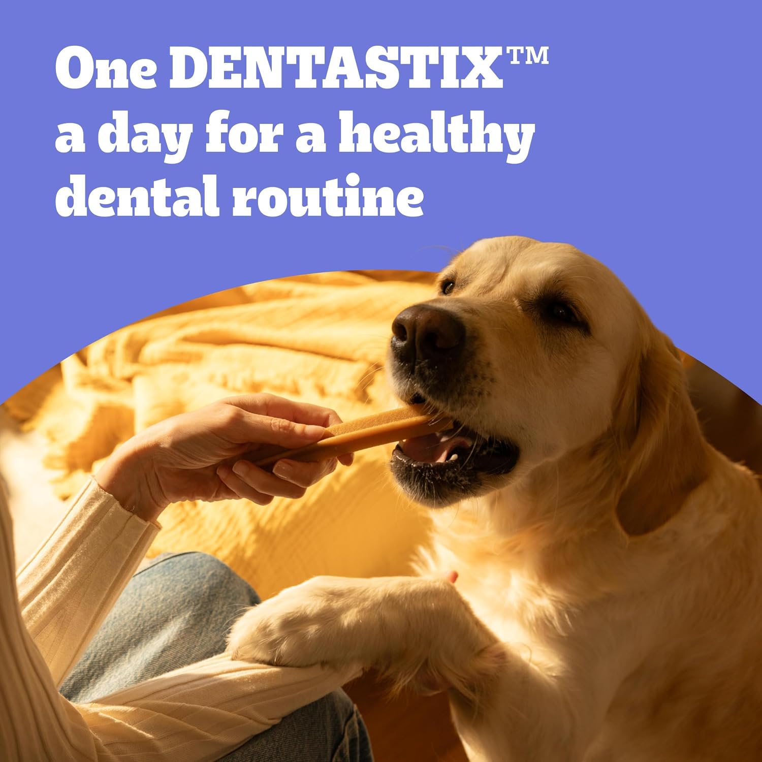 Thumbnail 4 de Pedigree DentaStix Daily Dental Chews For Medium Dogs (10-25 kg) – 112 Sticks