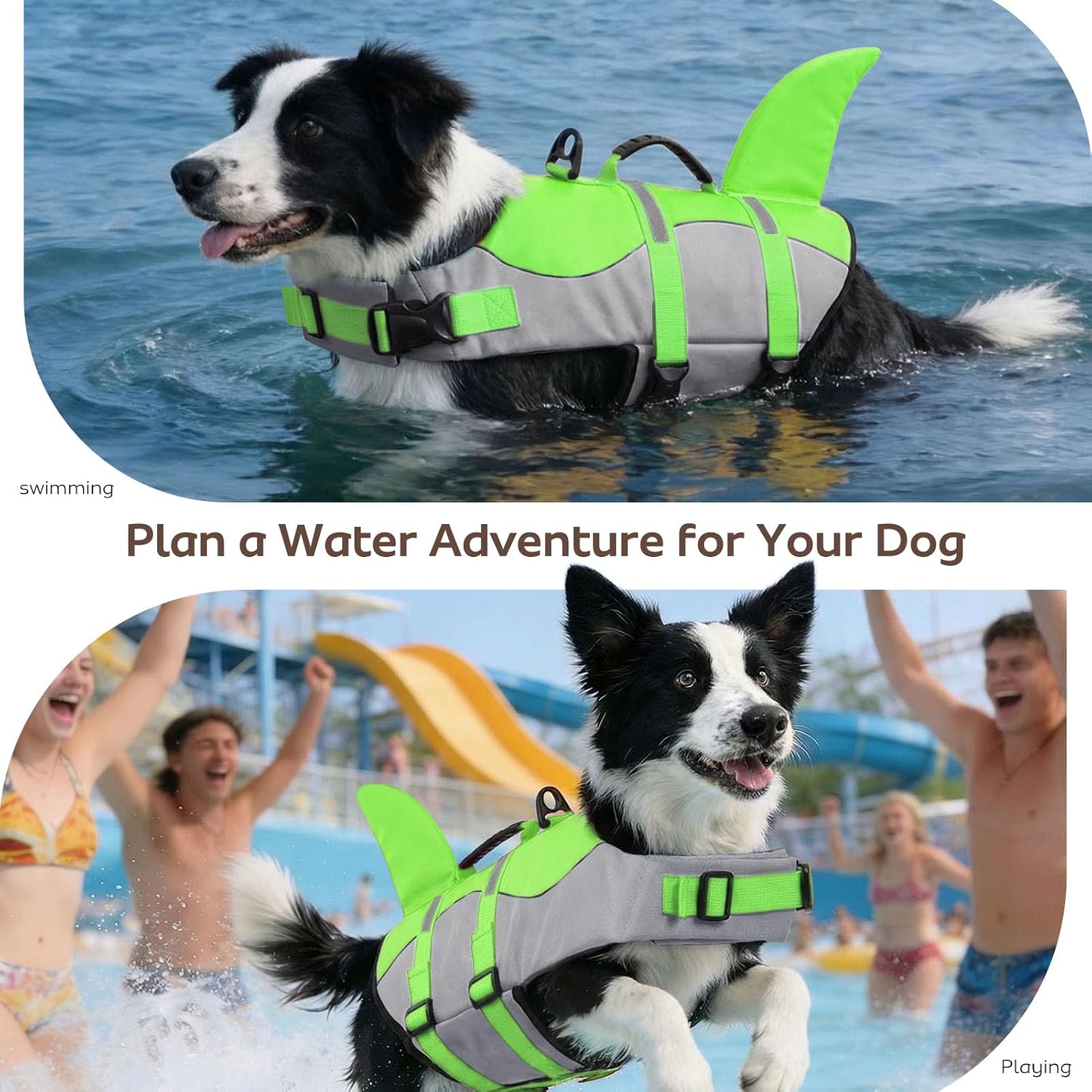 Detalle 2 de CITÉTOILE Dog Life Jacket Shark Costume – Safe, visible flotation vest for dogs (Green, M)