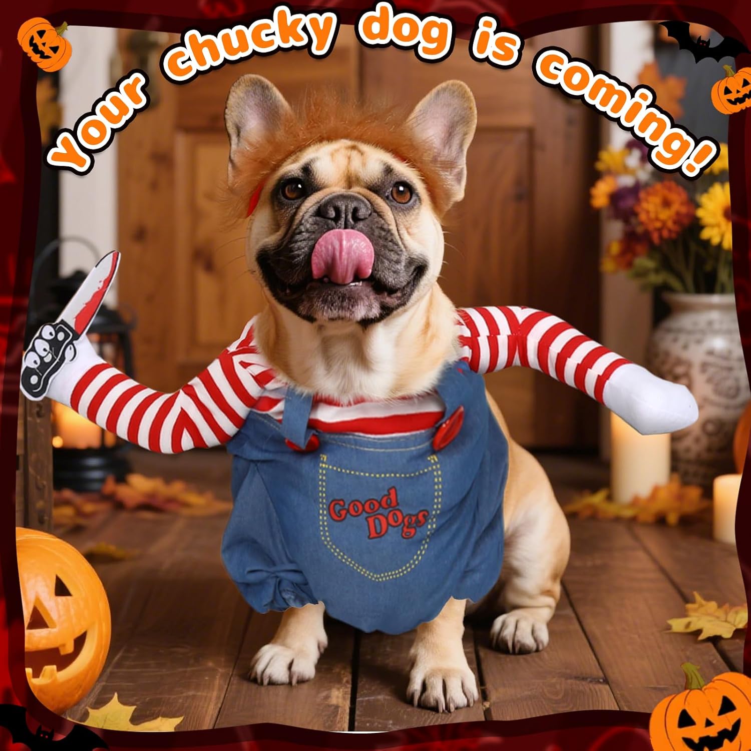 Thumbnail 5 de T2Y Dog Costume, Denim