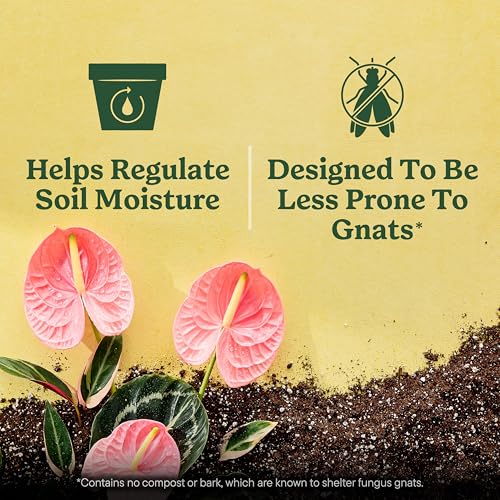 Thumbnail 6 de Miracle-Gro Indoor Plant Grow, Feed & Protect Bundle
