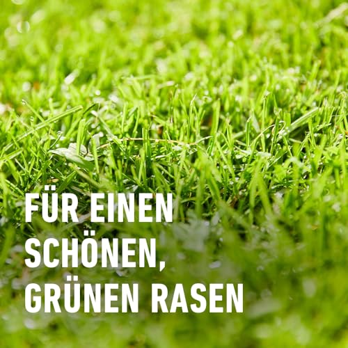 Thumbnail 6 de COMPO Turbo-Nachsaat Premium Rasensamen schnellkeimend – 2,6 kg für 130 m²
