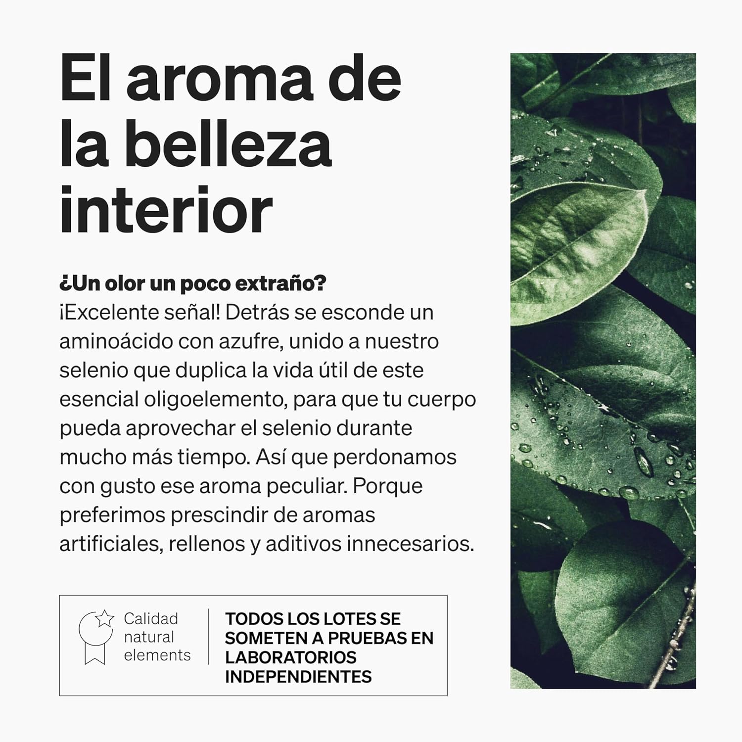 Detalle de natural elements Biotina + Zinc + Selenio 365