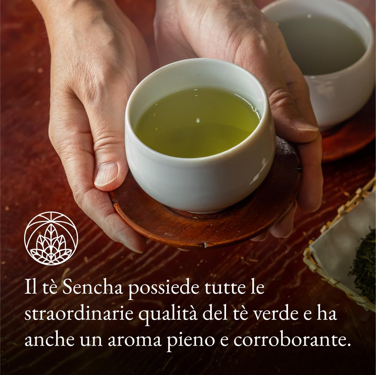 Detalle de Sencha The Verde Monte Nativo (200g) – Tè Verde Sencha di Qualità Superiore