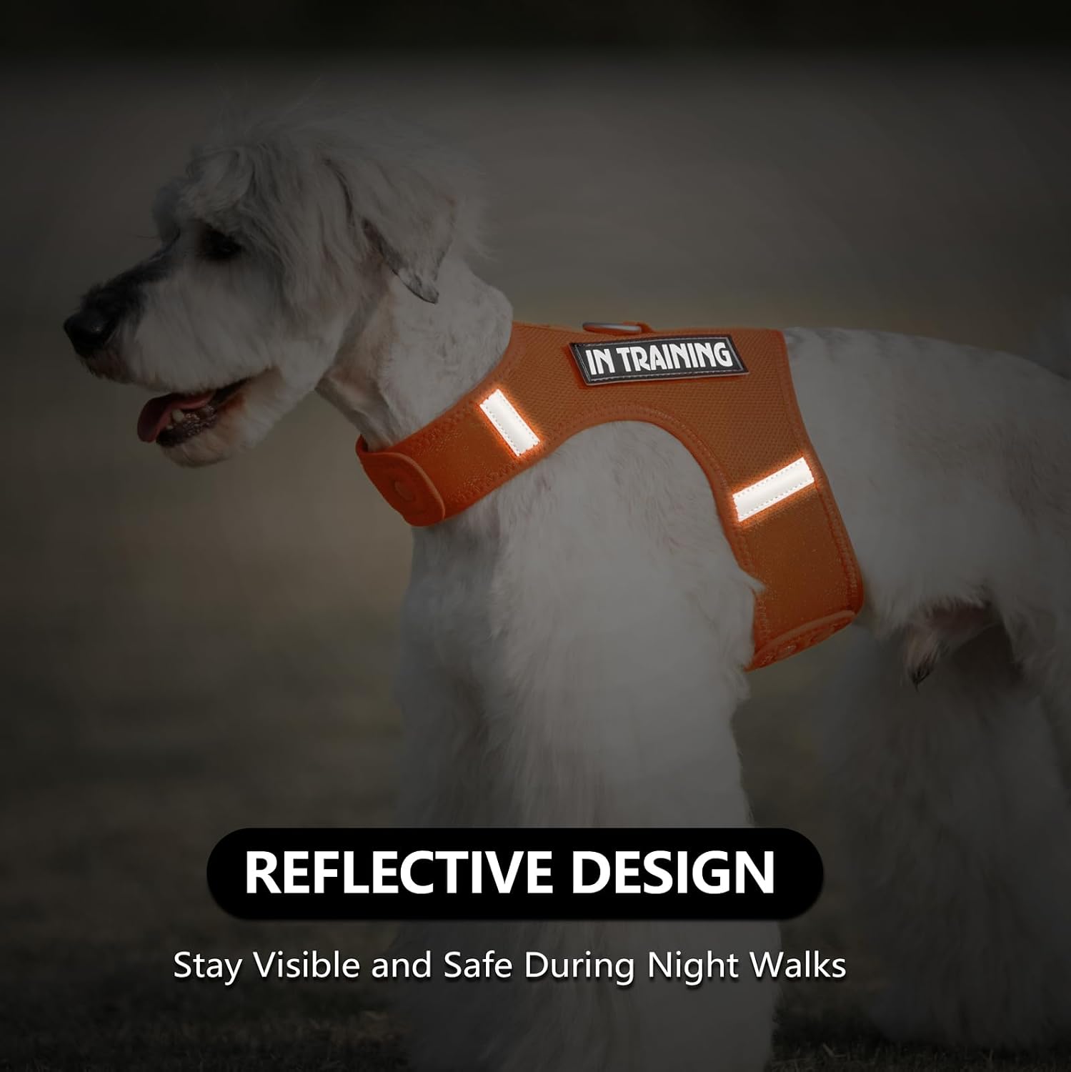 Thumbnail 6 de Sunraymascota Small Dog Harness — Adjustable, Breathable Vest with Reflective Strips and Patches (Orange, S)