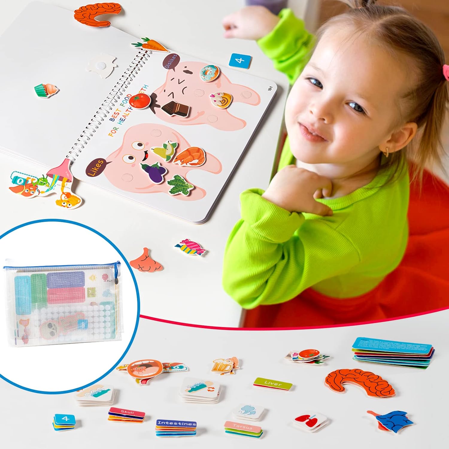 Detalle de Freebear Montessori Busy Book: Human Body Anatomy for Kids