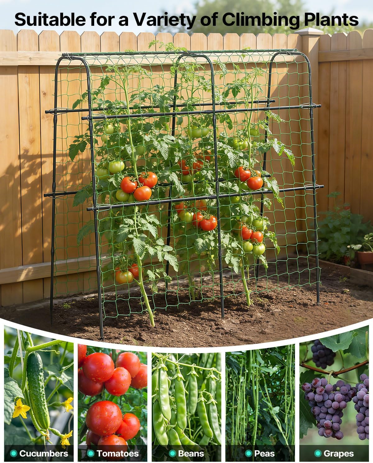 Thumbnail 6 de Suteck metal cucumber trellis 31.5 x 63 x 63 inches