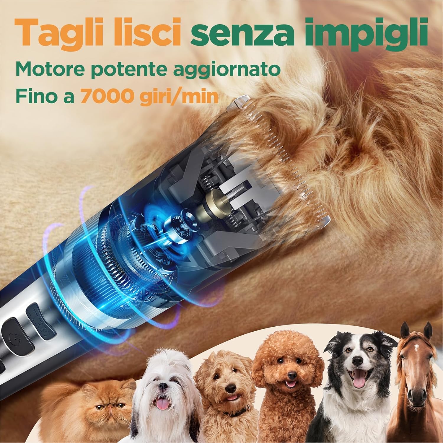 Thumbnail 2 de Gimars 4-in-1 Tosatrice Silenziosa per Cani e Gatti: controllo completo senza fili