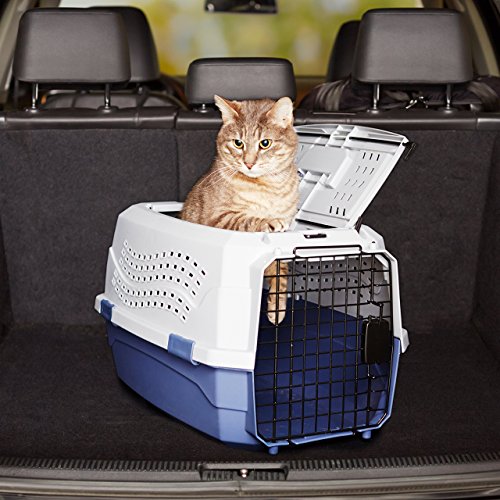 Thumbnail 13 de Amazon Basics caisse à animal domestique à deux portes, chargement par le haut – bleu (L58 x l38 x H33 cm)