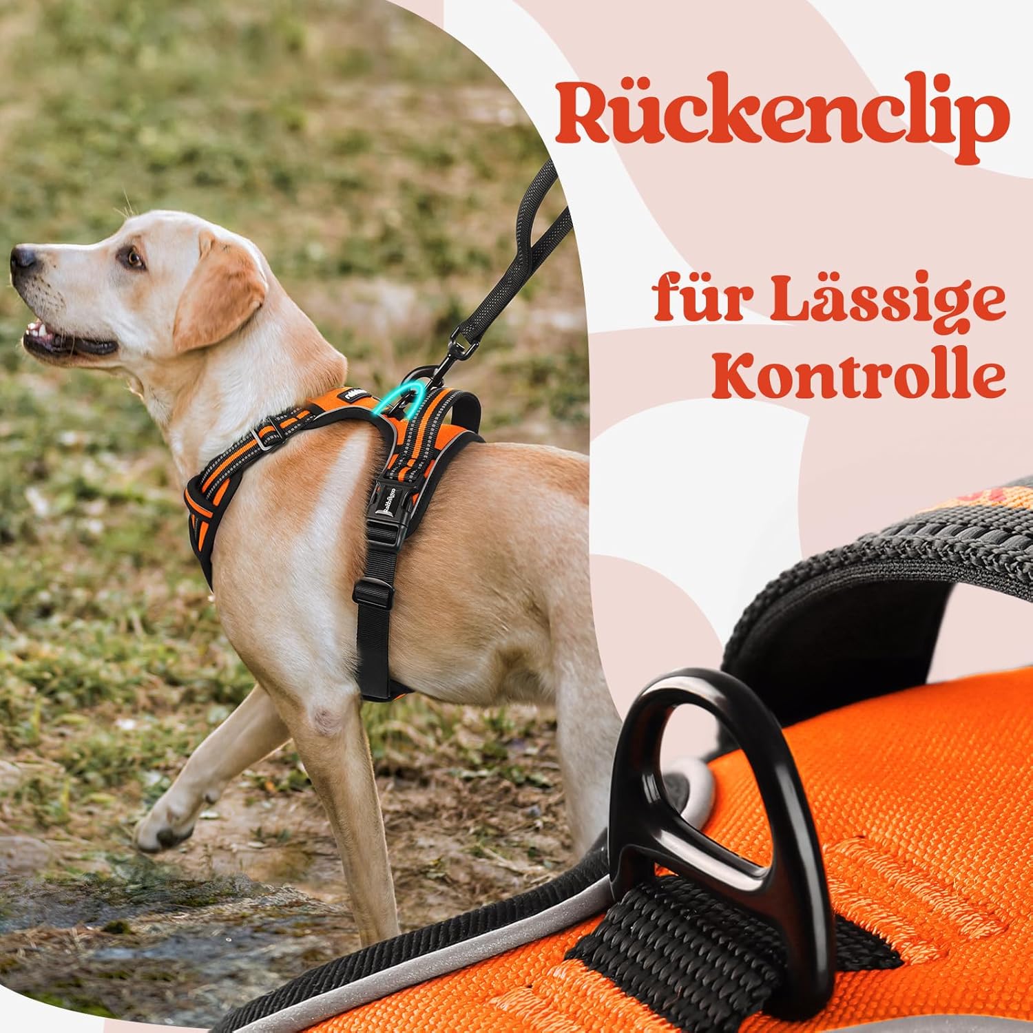 Thumbnail 6 de rabbitgoo Hundegeschirr Mittelgroße Hunde (Orange, Größe M) mit Anti-Zug, gepolsterter & reflektierender Brust