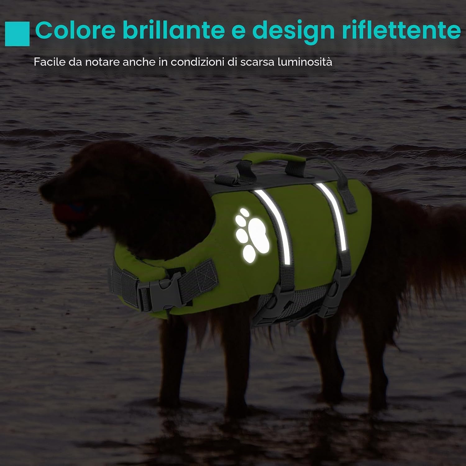 Detalle de Queenmore Salvagente Cane Taglia Piccola – Leggero, Regolabile e Riflettente