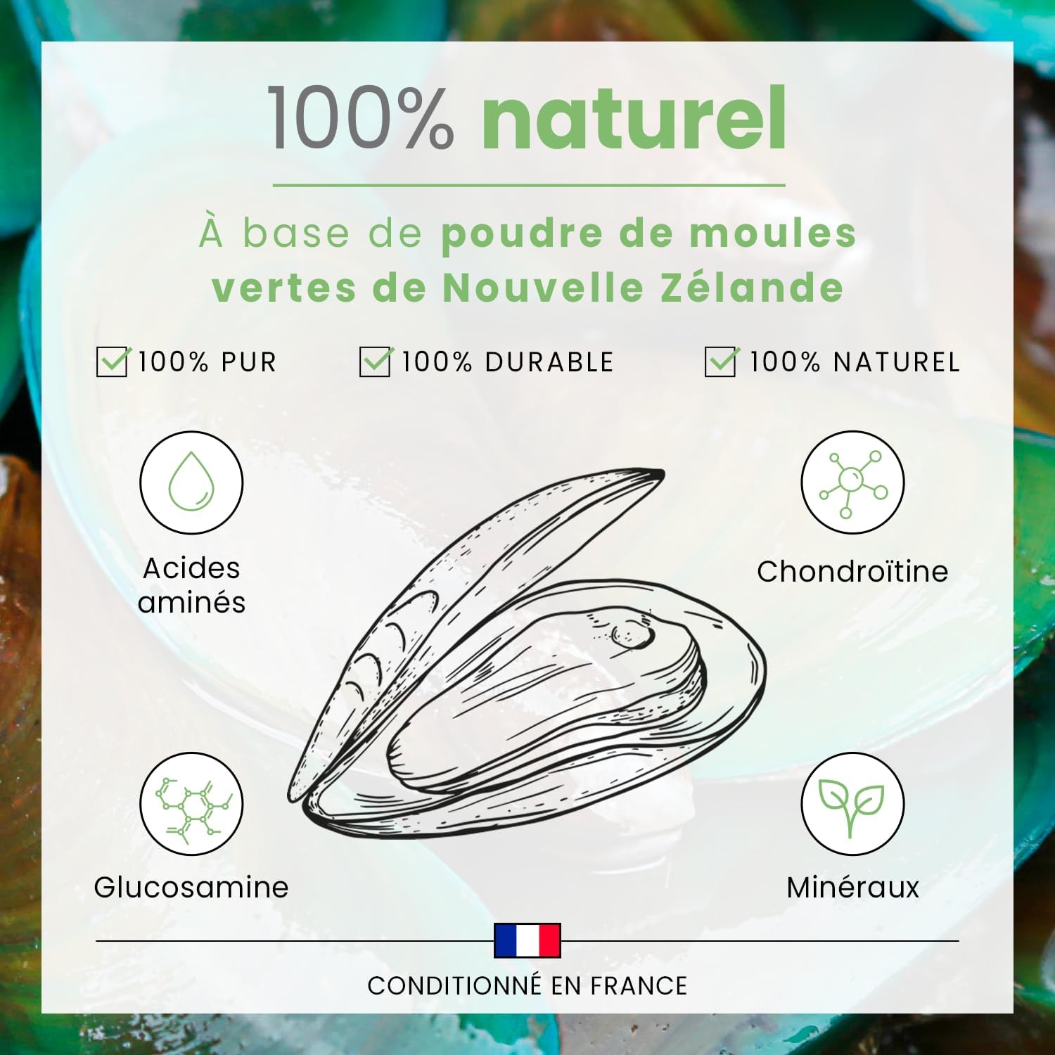 Detalle 1 de BUBIMEX Poudre de Moules Vertes – Bien-Être Articulaire pour chien et chat (60 g)
