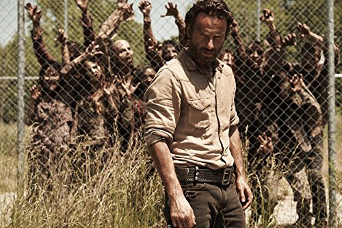 Thumbnail 4 de The Walking Dead: Temporada 4 en Blu-ray – Cameo
