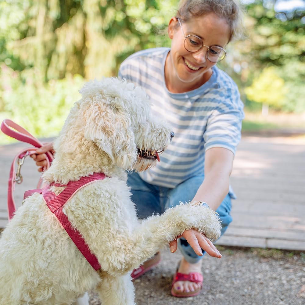 Thumbnail 2 de Nobby Norwegergeschirr Classic Preno in Neon Grün/Grau – Brust-, Hals- und Schultergeschirr für L: 68–85 cm