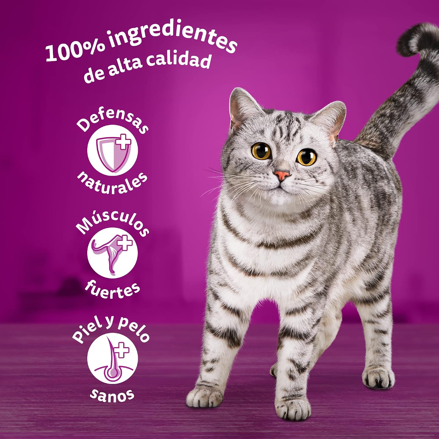 Detalle 2 de Whiskas Nassfutter für Katzen – Erwachsene, Klassische Auswahl in Sauce, Multipack 4 × 12 × 85 g