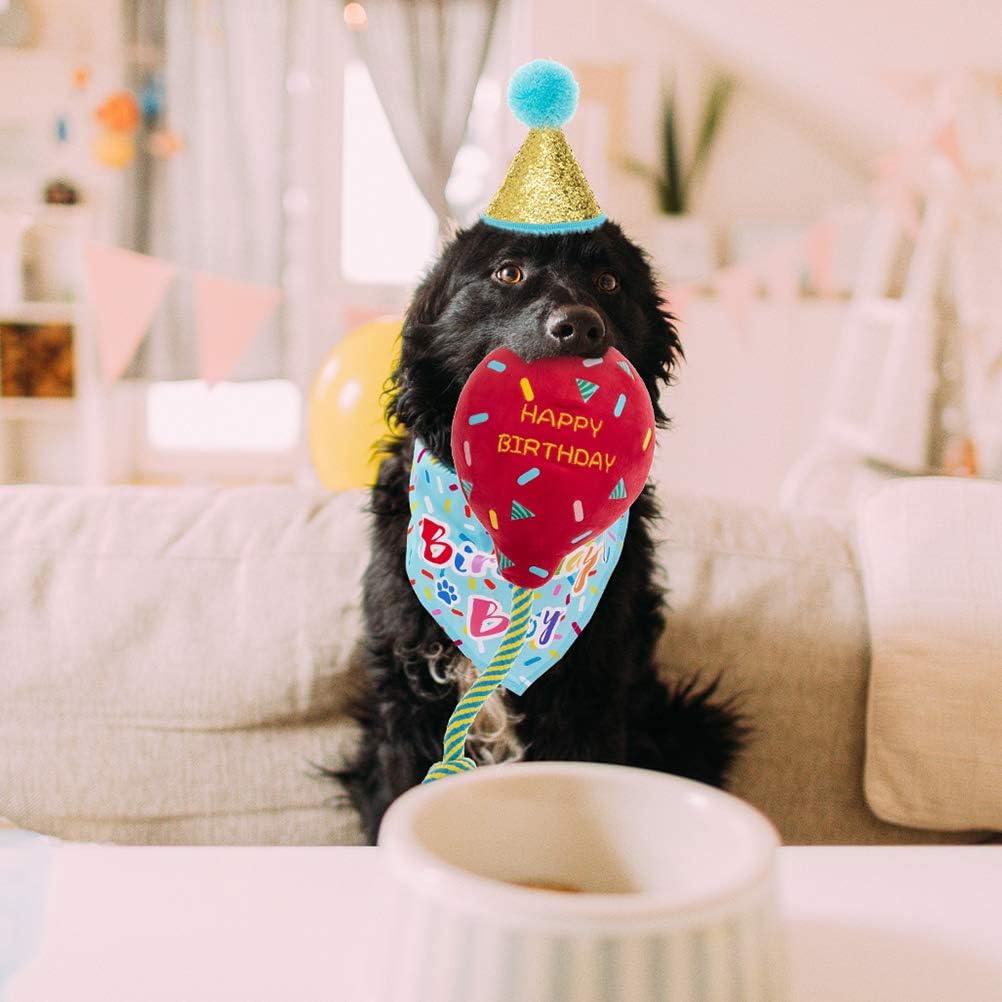 Detalle de KOOLTAIL birthday bandana set 50 cm