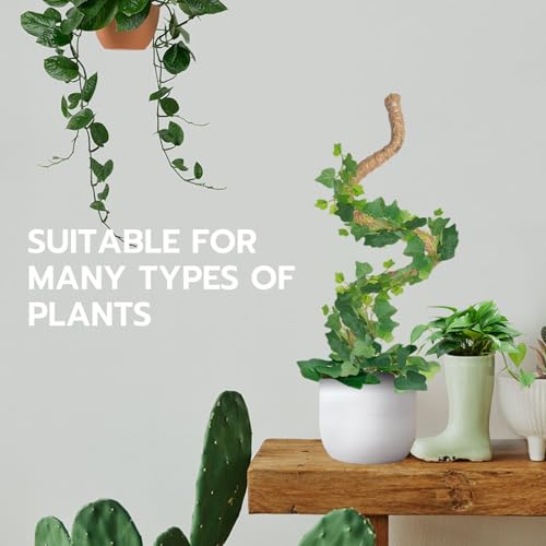 Thumbnail 8 de McBazel 120 cm Monstera Rankhilfe aus Kokosfaser mit Zubehör – flexible Pflanzenstütze für Monstera und Kletterpflanzen