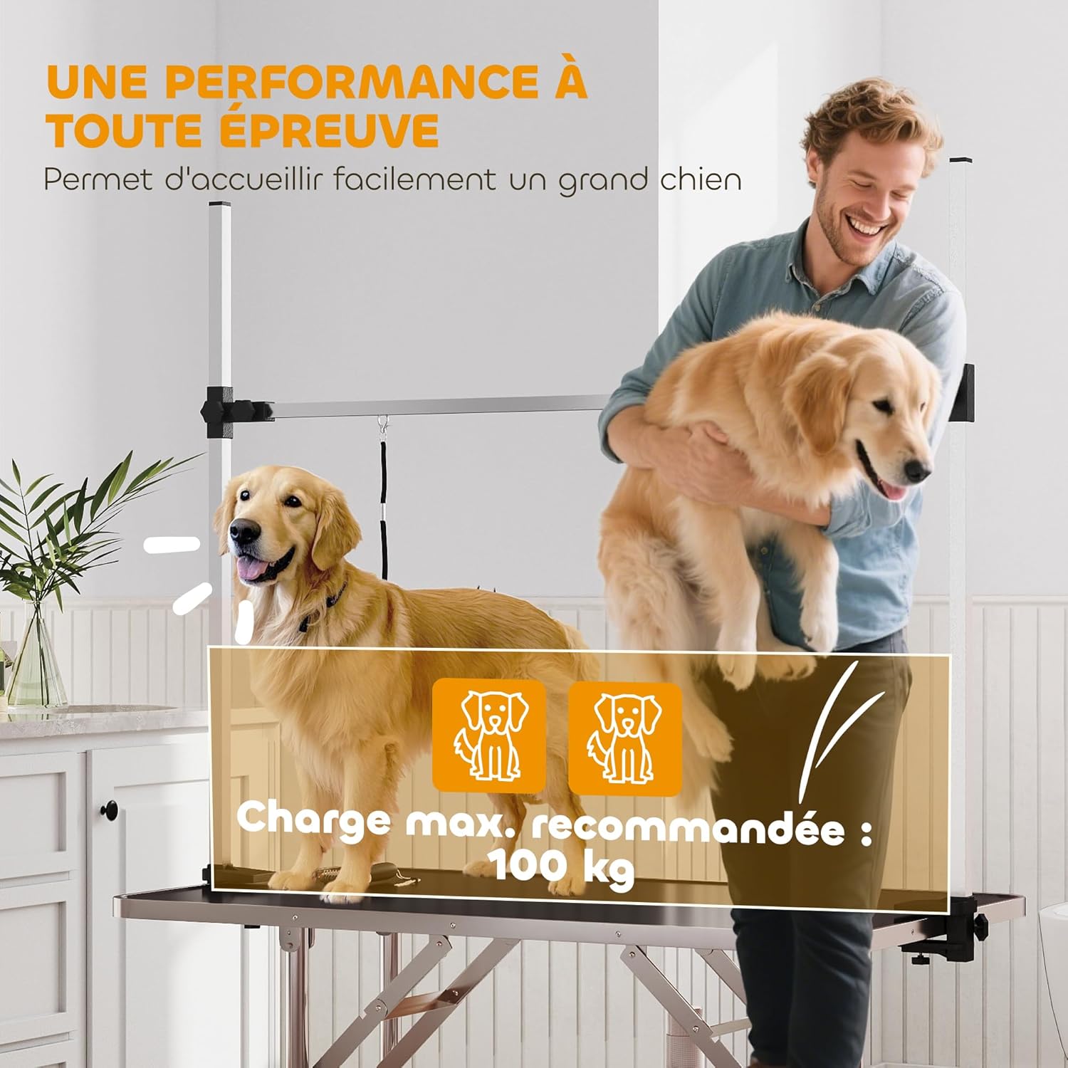 Detalle 2 de PawHut table de toilettage pliante 107 x 60 cm avec potence H inox réglable et surface antidérapante