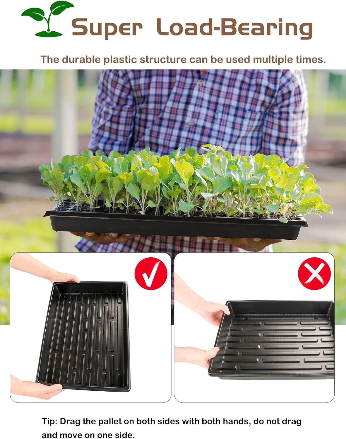 Thumbnail 4 de FUCNEN Plateaux de Semis 39x29x6,5 cm