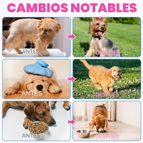 Detalle de Colágeno líquido para perros CiAIplw 60ML: piel sana, pelo brillante y articulaciones flexibles