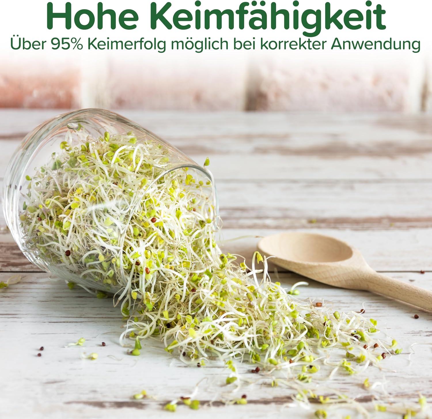 Detalle 2 de BIO Brokkoli-Sprossen Samen 500 g