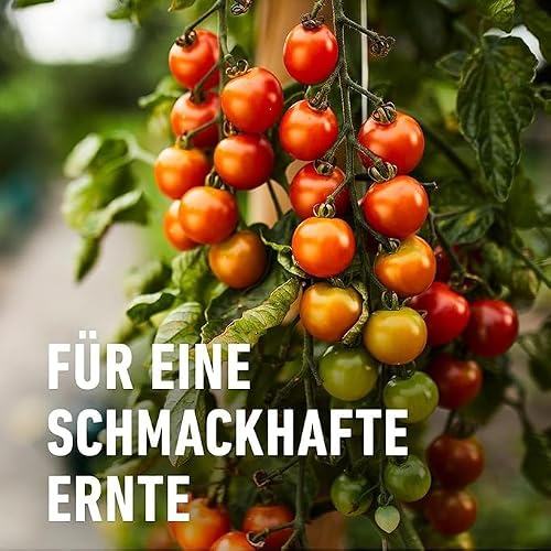 Thumbnail 6 de COMPO BIO Obst- und Gemüsedünger, 1 L – Natürlicher Flüssigdünger für gesundes Wachstum und aromatische Erträge