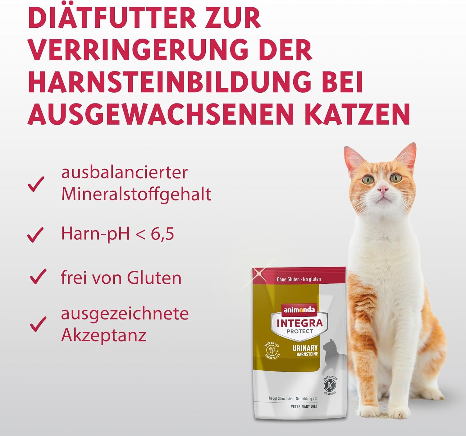 animonda INTEGRA PROTECT Urinary – Diätfutter für Katzen mit Harnwegen (1 x 1200 g)