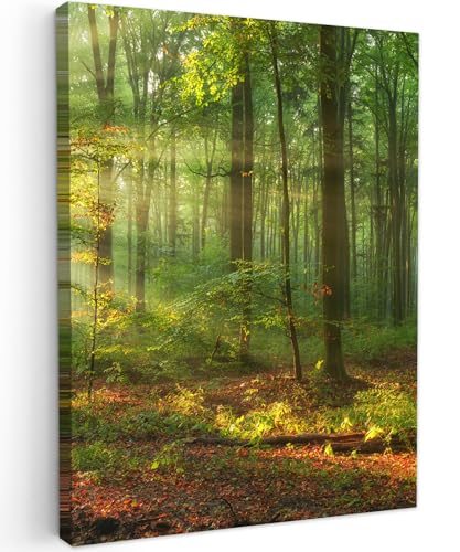 MuchoWow Impression toile 30x40 cm Forêt 🎨