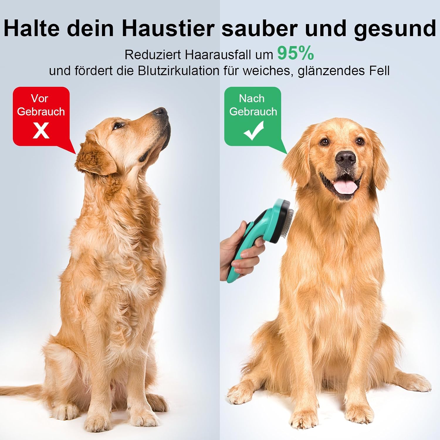 Detalle 1 de WOPQAEM Hundebürste für Kurzhaar 10 mm