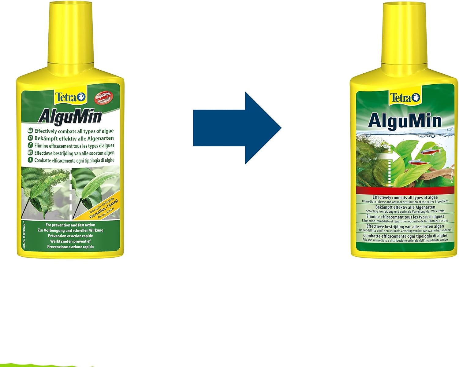 Detalle de Verdetto finale: Tetra AlguMin 250 ml, controllo rapido delle alghe per acquari d'acqua dolce