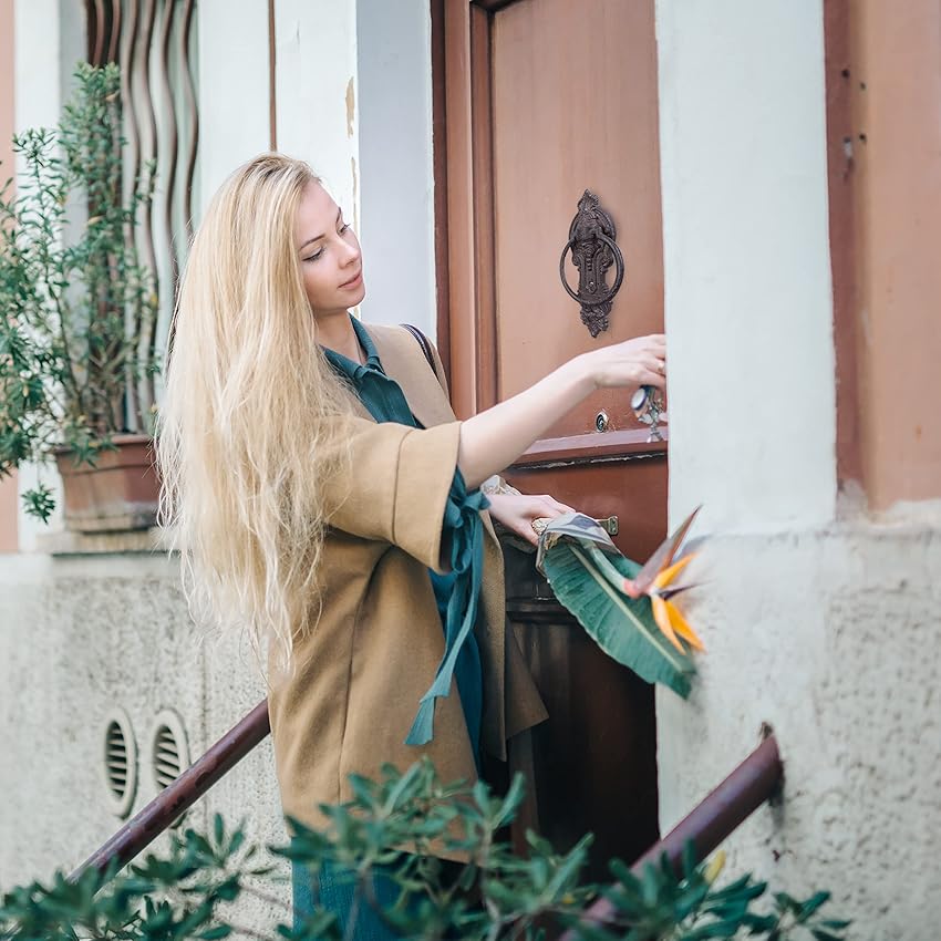 Thumbnail 4 de Relaxdays Llamador Puerta Entrada Aldaba vintage 25,5×10,5 cm 🏠