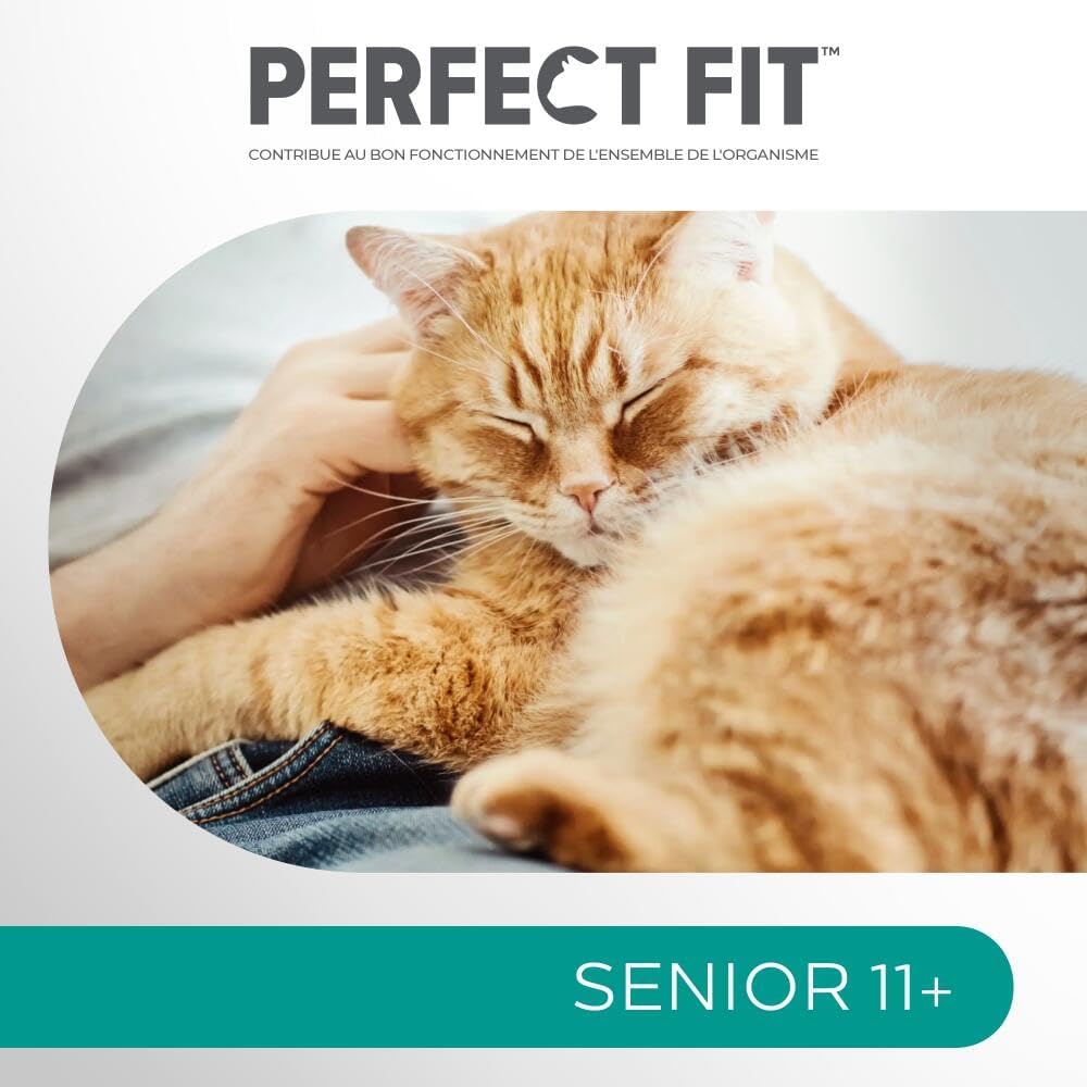 Thumbnail 6 de PERFECT FIT Senior 11+ Croquettes Gourmandes pour Chat Senior Stérilisé – Poulet, 1,4 kg (Lot de 5)