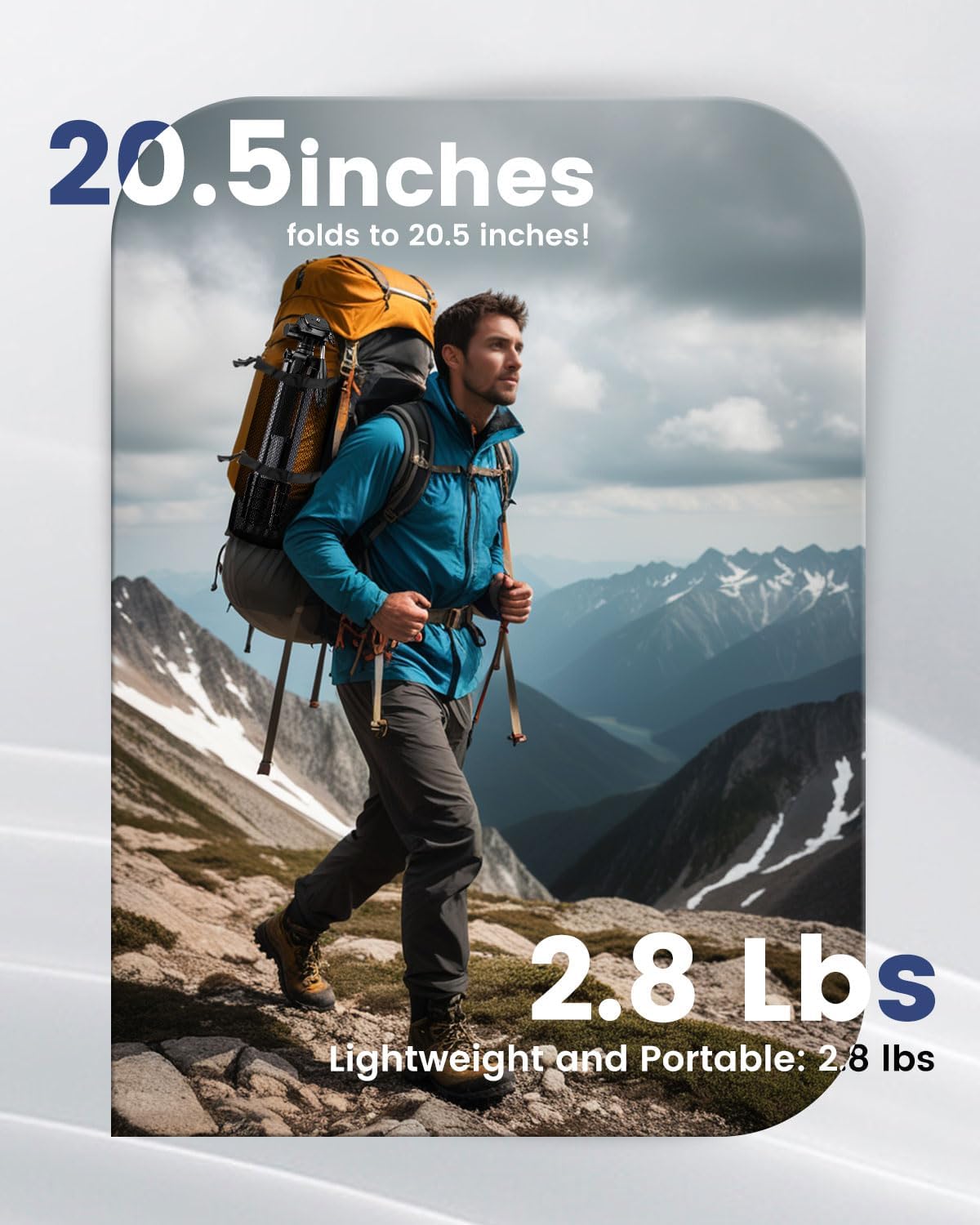Thumbnail 2 de CAMBOFOTO 74″ Aluminum Camera Tripod with 360° Pan Head & Phone Mount