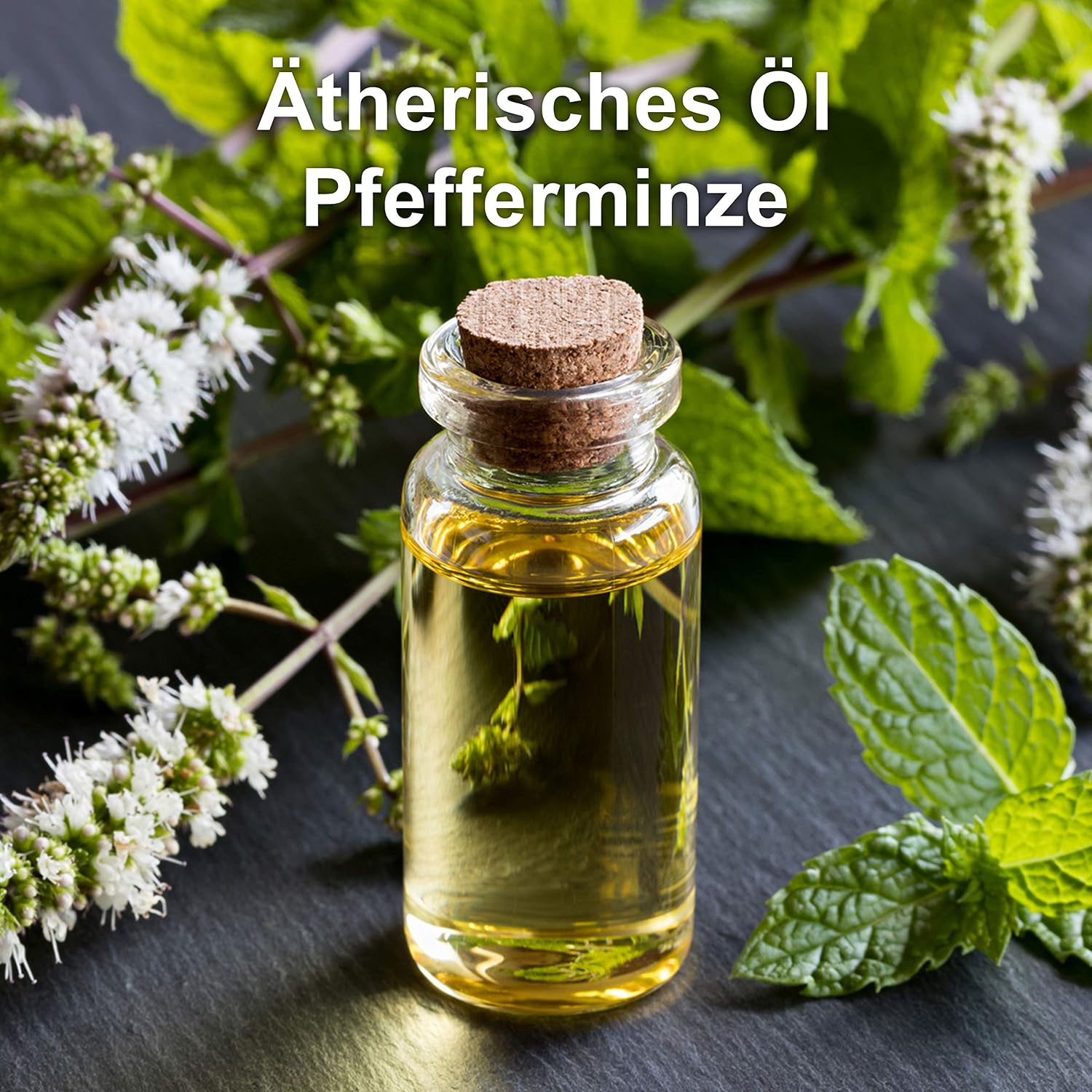 Thumbnail 5 de Mearome Pfefferminzöl BIO 30 ml