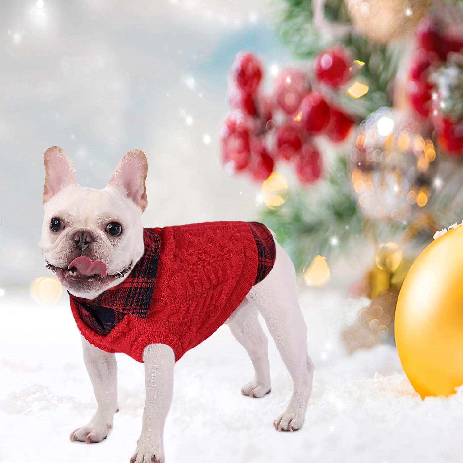 Thumbnail 5 de CITÉTOILE Winter Dog Jumper L