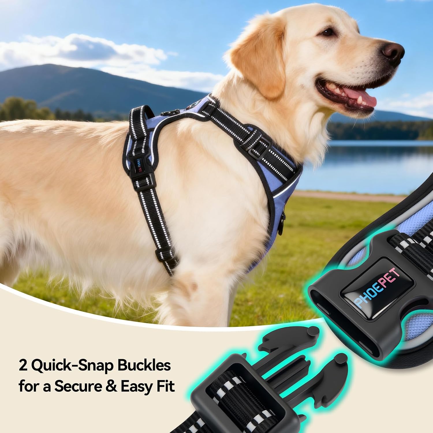 Thumbnail 6 de PHOEPET D2090 No-Pull Dog Harness, Small Baby Blue, Reflective Dual Clips
