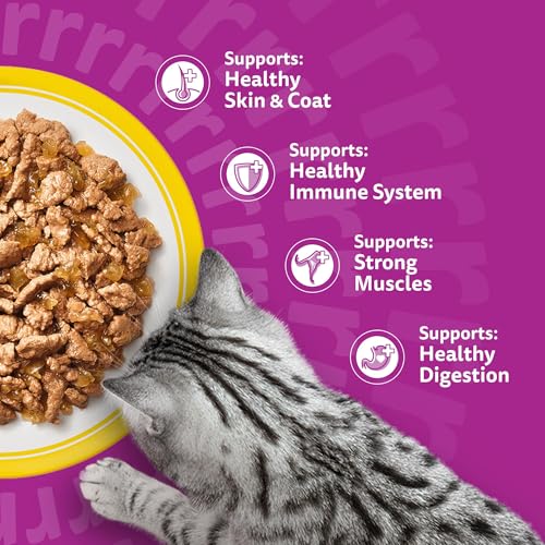 Thumbnail 6 de Whiskas Adult Wet Cat Food in Jelly Poultry Feasts 40x85g — A practical daily dinner for 1+ cats