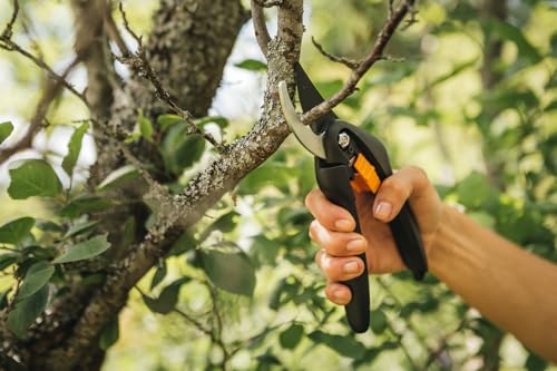 Thumbnail 10 de Fiskars P26 Tijeras de podar 20 cm, corte 2,2 cm ✂