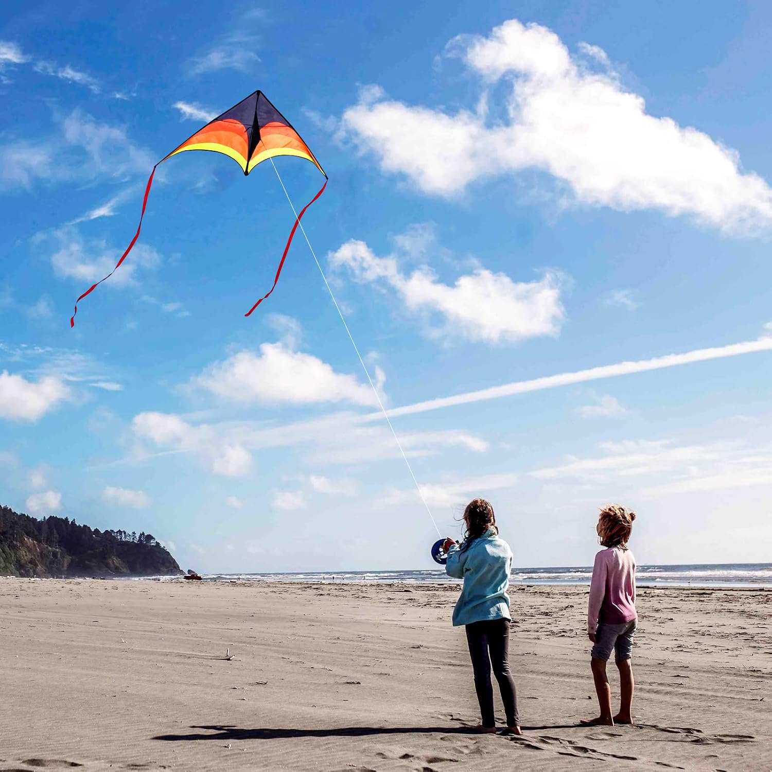 Detalle de Large Single Line Beach Kite for Adults: Easy-To-Fly Fun for All Ages