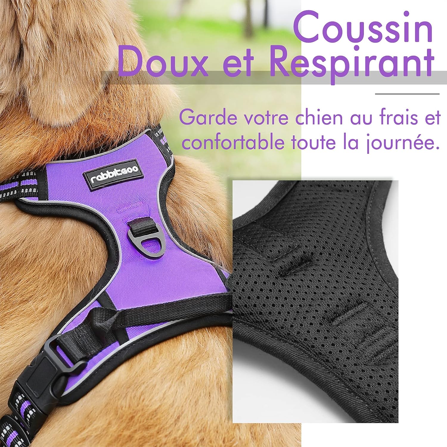Detalle 1 de rabbitgoo Harnais Chien Anti Traction Violet XS